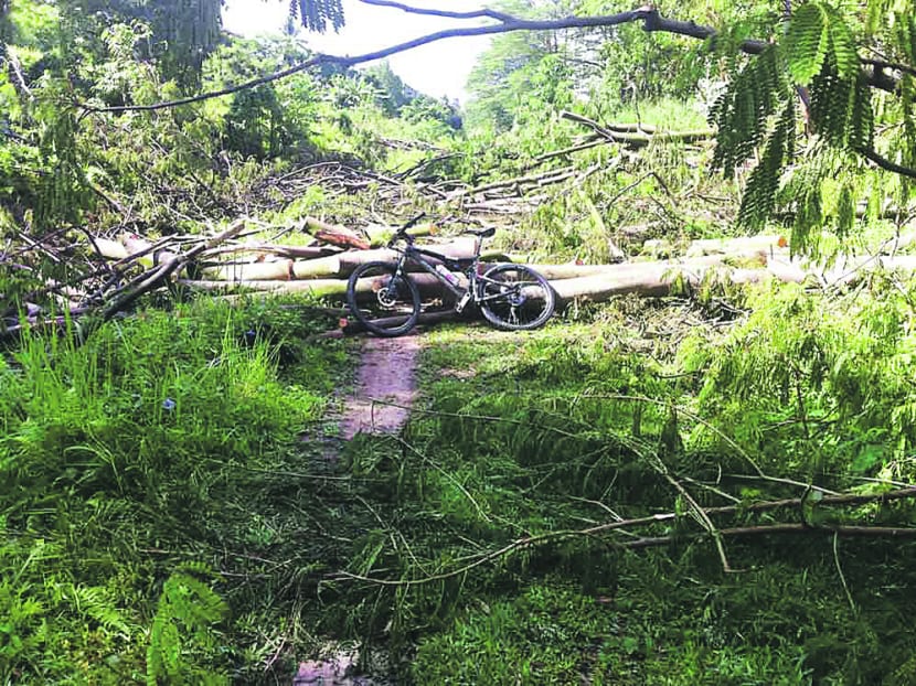 Take action before we lose our Rail Corridor