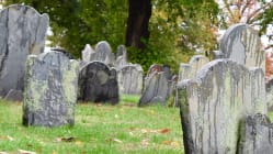 Related article image