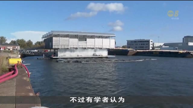 荷兰推出浮动奶牛场 以浮动平台取代陆地养殖