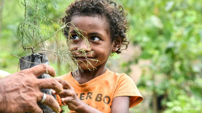 Turning sunlight into water: New technology and old knowledge to stop Timor-Leste from running dry