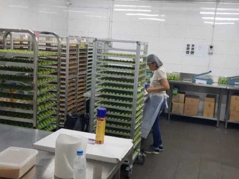 An AVA officer found Baker’s Brew Studio operating an unlicensed wholesale flour confectionery establishment during a round of regular inspections.