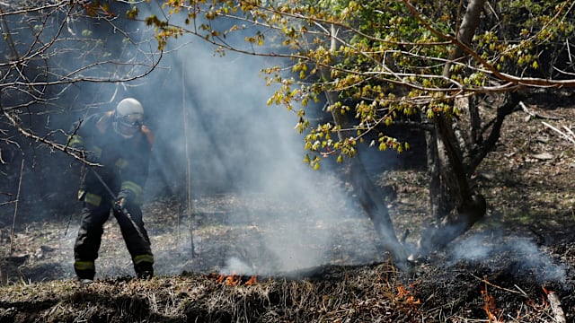 日本岩手县山火延烧多天 火势因降雨减弱但仍未受控