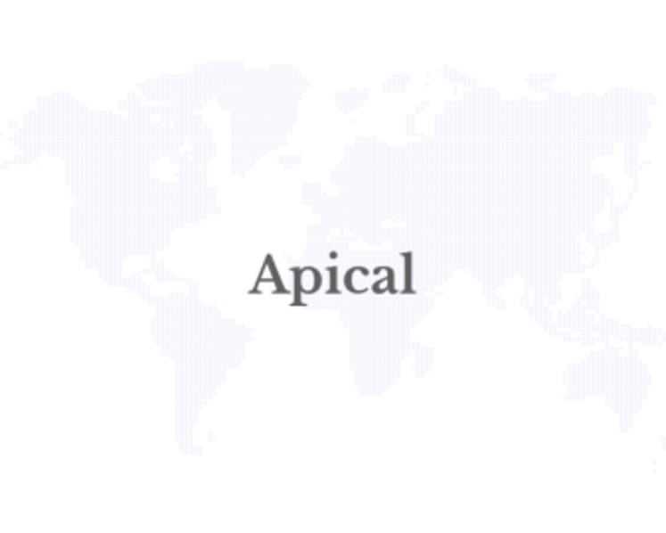 Apical Joins Industry Leaders to Launch Aceh Sustainable Palm Oil Working Group
