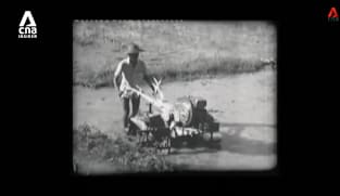 What's Coming Up - Lost Plantation