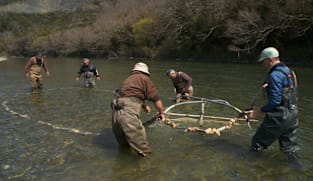 Japan Hour - Cycle Around Japan - From Sea To Mountains, Spring In Ehime