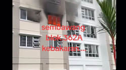 Related article image