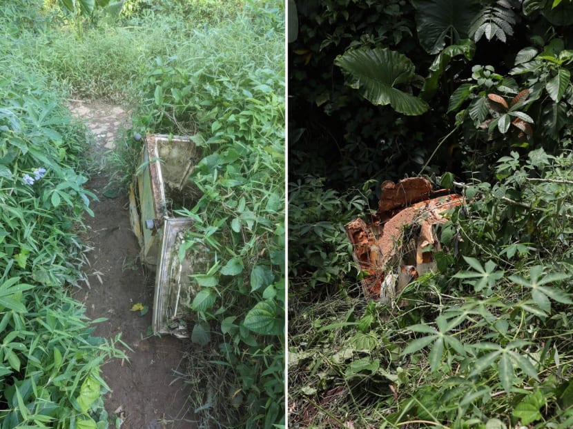 (Left) A photo of a discarded fridge at Clementi Forest taken by Mr Semenov Pavel Dmitrievic on March 13, 2022. (Right) The discarded fridge seen a few metres from its original location on April 21, 2023. (Left) A photo of a discarded fridge at Clementi Forest taken by Mr Semenov Pavel Dmitrievic on March 13, 2022. (Right) The discarded fridge seen a few metres from its original location on April 21, 2023.