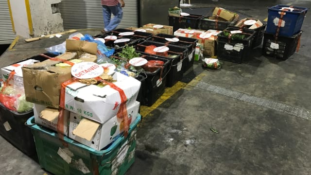 进口商非法进口蔬菜 被罚款5000元