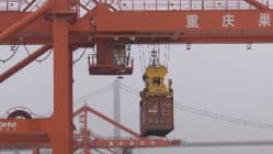 Related article image