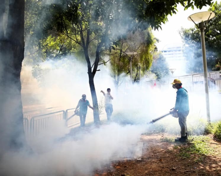 8 new Zika cases reported, potential cluster near Siglap