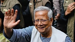 Related article image