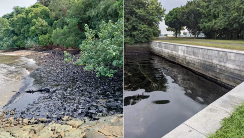Lebih banyak pantai ditutup susuli tumpahan minyak; MPA bantu permudah urusan tuntutan pihak ketiga