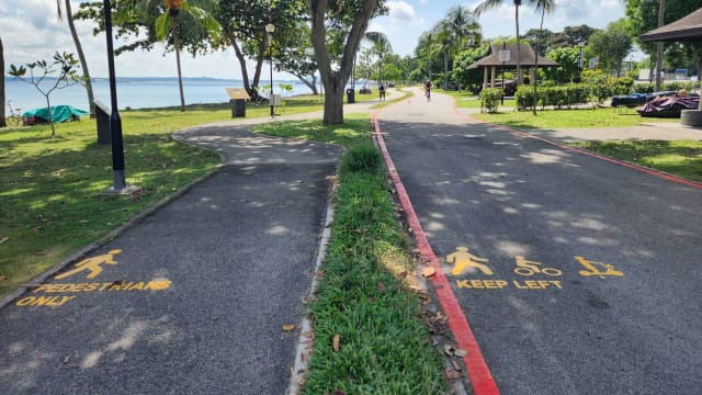 有公众对新公园道路标志感困惑？公园局：整体反馈正面