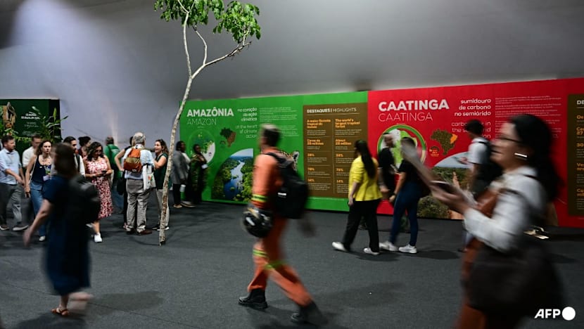 US state leaders take stage at UN climate summit - without Trump