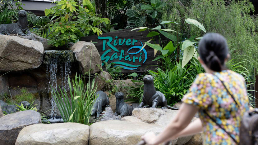 River Safari renamed, new bird park named Bird Paradise in Mandai Wildlife Group rebranding