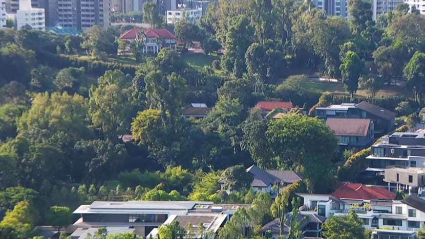 In numbers: The Ridout Road bungalows rented by ministers Shanmugam and Balakrishnan In numbers: The Ridout Road bungalows rented by ministers Shanmugam and Balakrishnan