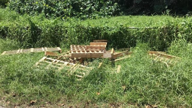 搬运公司老板让员工非法丢垃圾 被罚款9000元