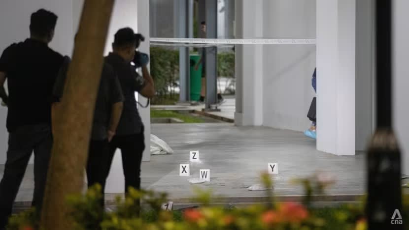 Kematian di Clementi: Lelaki 50 tahun akan didakwa atas tuduhan bunuh Kematian di Clementi: Lelaki 50 tahun akan didakwa atas tuduhan bunuh