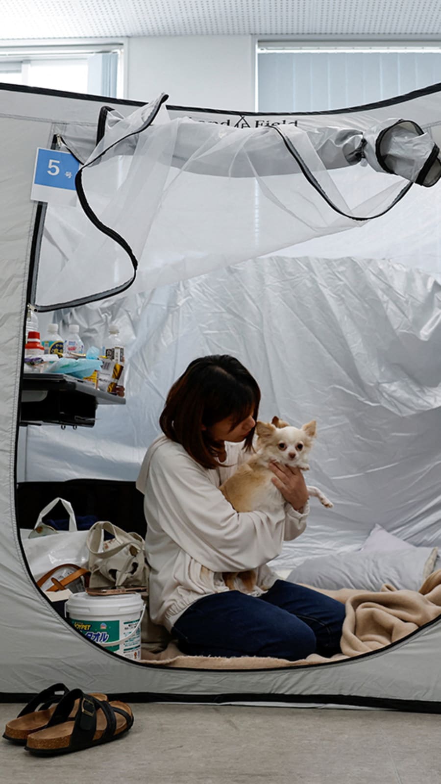 Dogs allowed: Animal hospital opens doors to Japan quake survivors and their pets