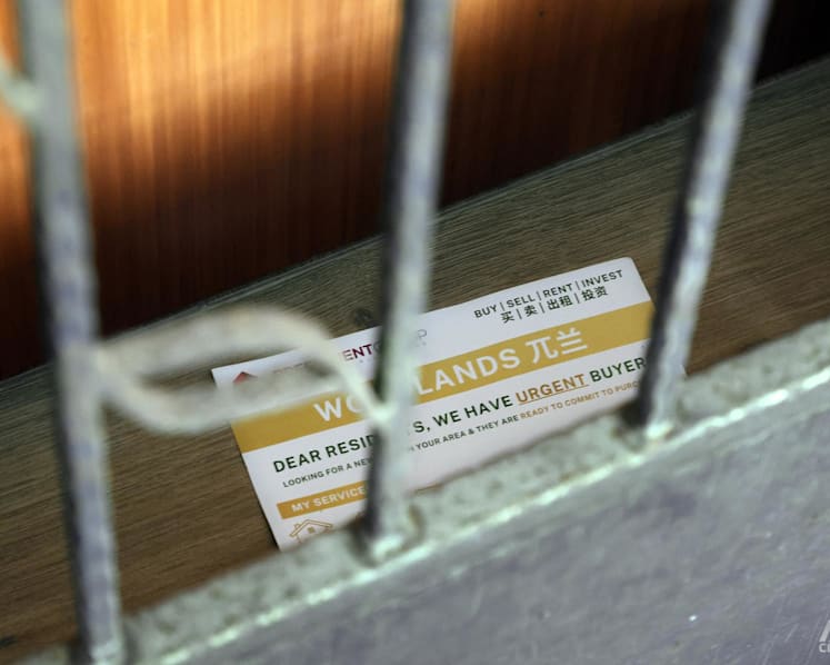 Property flyers a 'numbers game' that tests residents’ patience against agents’ pockets