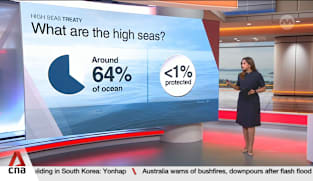 What is the High Seas Treaty and why does it matter?