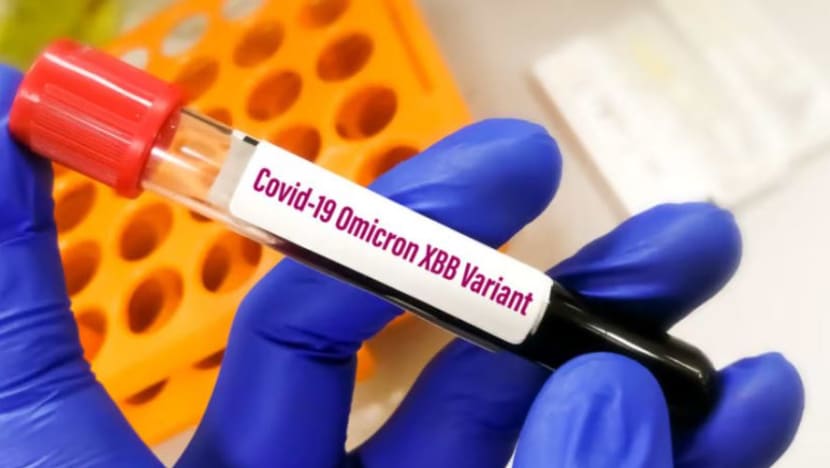 WHO beri amaran 'Kraken'; varian terbaru XBB.1.5 COVID-19  