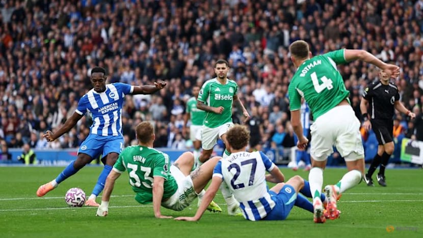 Welbeck brace gives Brighton 2-1 win over Newcastle