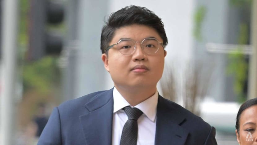 Story idea, article elements, wording 'designed to stick the knife’ into Shanmugam, Tan See Leng: Lawyer