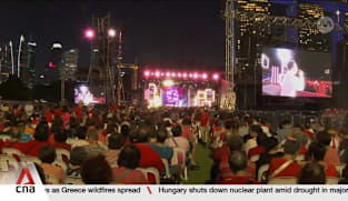 National Day Concert 2026: Crowds gathered at Gardens by the Bay for performances by local talents 
