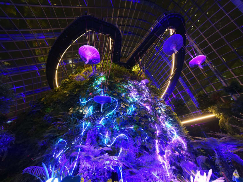 Welcome to Pandora: Check out the new Avatar immersive exhibit at Gardens by the Bay's Cloud Forest Welcome to Pandora: Check out the new Avatar immersive exhibit at Gardens by the Bay's Cloud Forest