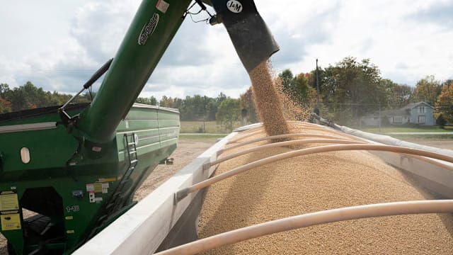 中企据报在中美首脑会晤前夕 恢复购买美国大豆