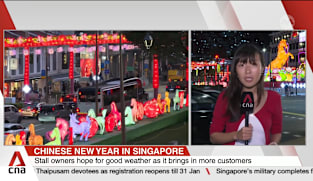 Chinatown light-up features 8.8-metre-tall golden horse, festivities to run until March 18