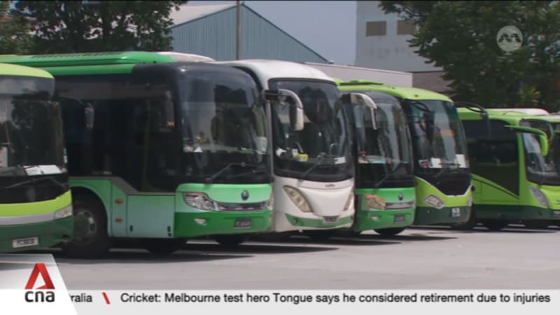 School bus operators grapple with up to 30% drop in demand amid rising costs 