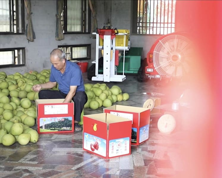 Pomelo shampoo and body lotion: Taiwan’s farmers find new ways to cope with China’s import ban