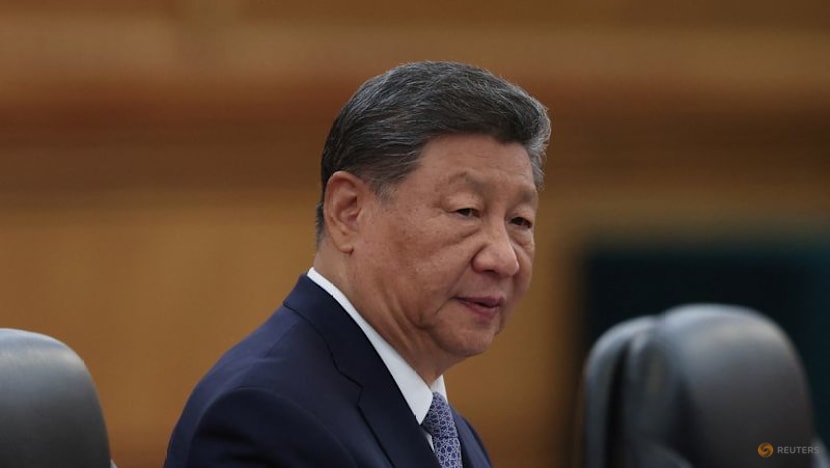 China's Xi urges efforts to maintain social stability in Xinjiang