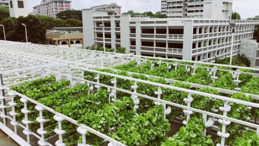 SG labur lagi S$165 juta untuk jamin bekalan makanan
