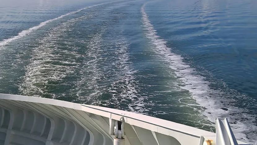 Terminal feri antarabangsa terbaru - Desaru Coast - akan hubungkan Johor-S'pura-Indonesia