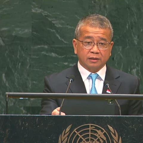 唐振辉：国际法对小国攸关生存 吁各国支持国际法院