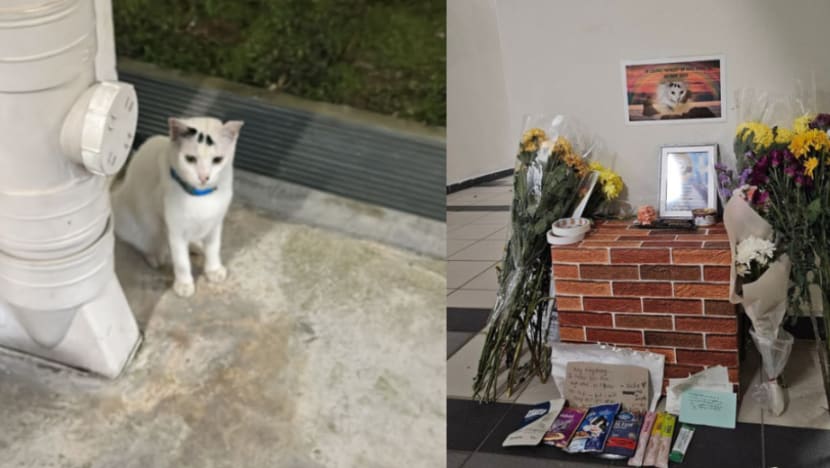 Gambar Pilihan Hari Ini Gambar Pilihan Hari Ini