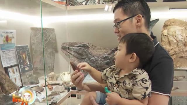 晨光|玩物壮志：本地化石收藏家 暖居化身博物馆