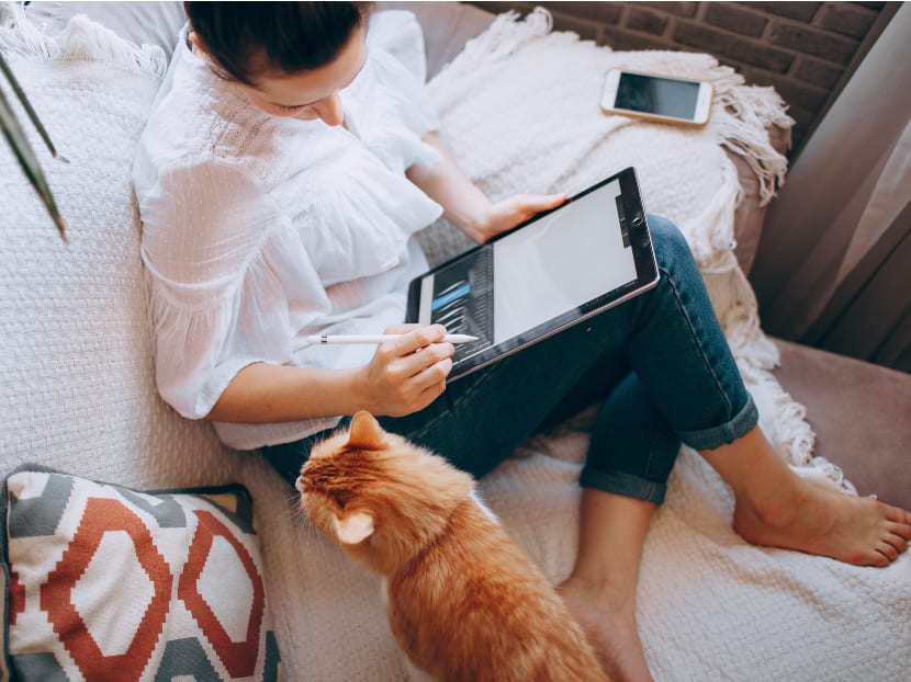 More room rentals have 'no WFH' policy; landlords cite high utility bills, privacy issues