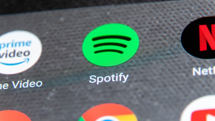 Tarif PPN 12% di 2025, berapa biaya langganan Netflix dan Spotify?