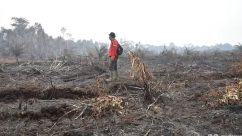 Indonesia waspada mungkin alami cuaca kering, kawasan panas lebih teruk Indonesia waspada mungkin alami cuaca kering, kawasan panas lebih teruk