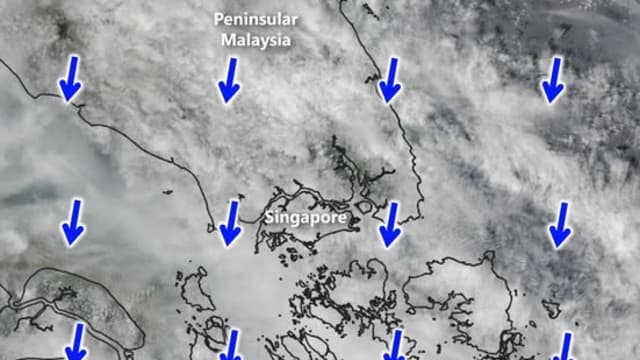 环境局：烧焦味明显 但一小时PM2.5浓度仍处正常水平