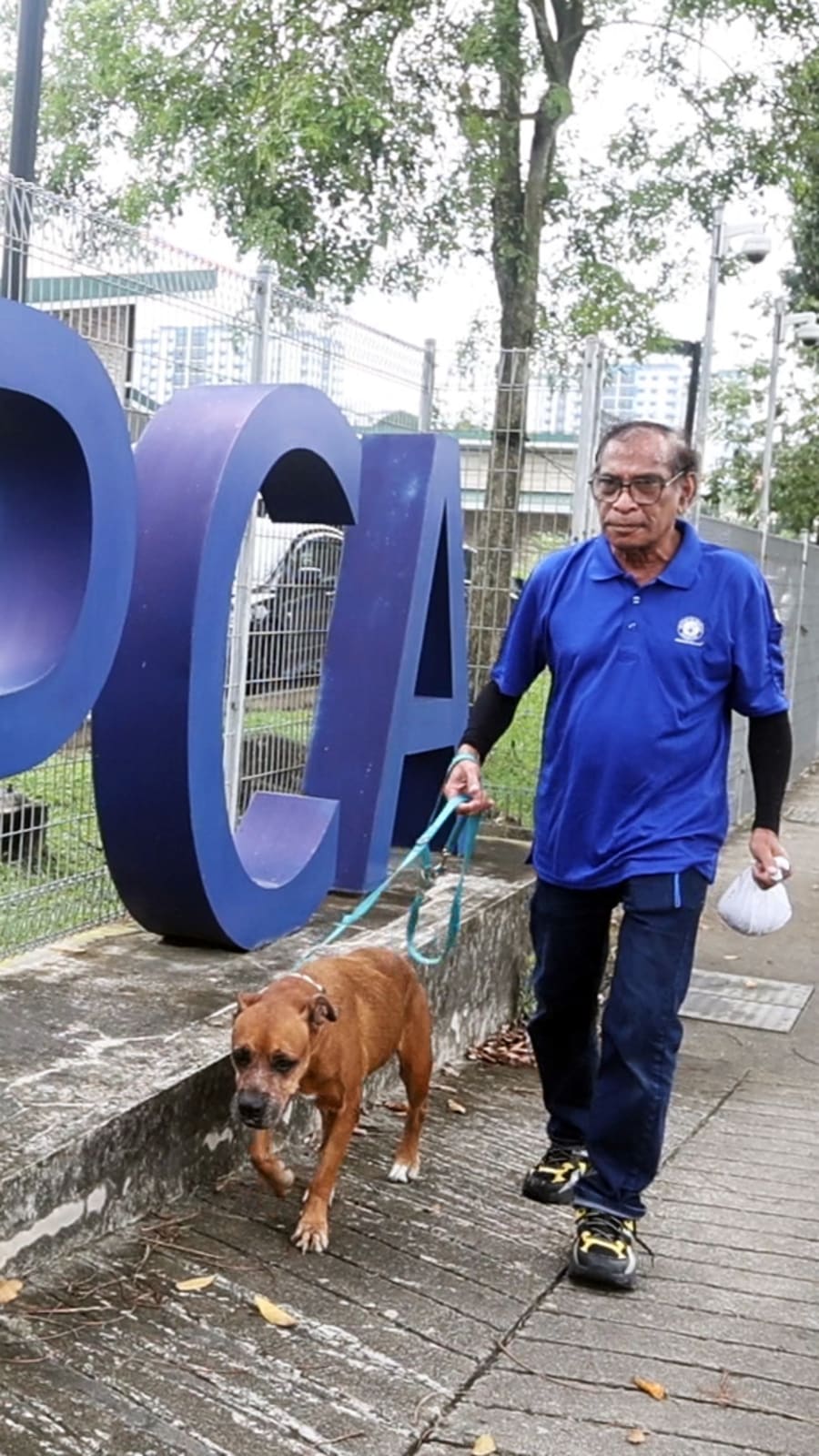 Meet SPCA’s longest-serving employee, who started out afraid of dogs