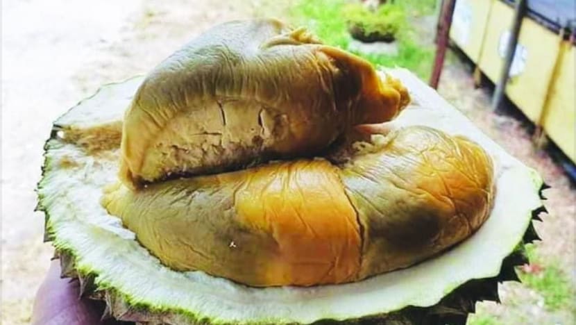 Disangka rosak, durian dengan isi lebam ini dikatakan 'barang rare'!
