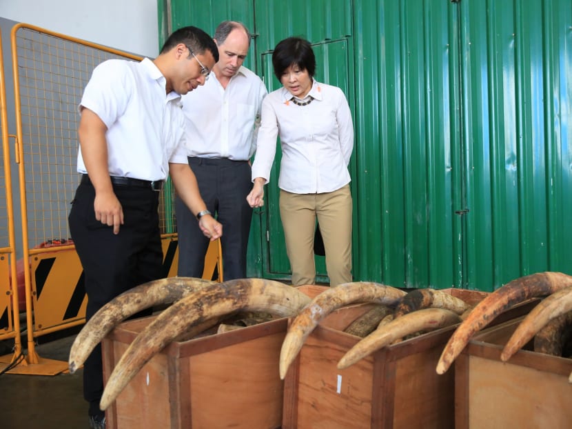 Mr Desmond Lee, Senior Minister of State for National Development and Home Affairs (left), Mr Scott Whiteman, British High commissioner (centre) and Ms Tan Poh Hong, CEO of AVA, at site where Agri-Food & Veterinary Authority (AVA) crushed 7.9 tonnes of seized elephant ivory that was estimated to be worth about S$13 million on Monday (June 13). Photo: Koh Mui Fong