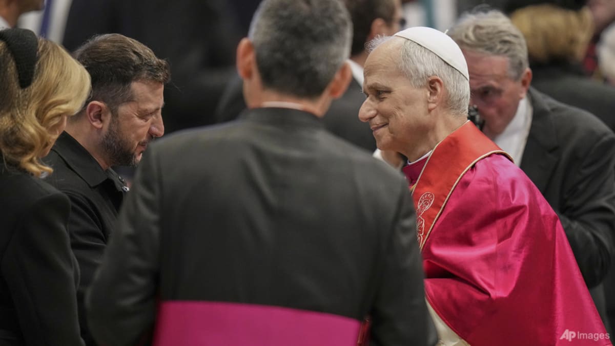 Pope Leo XIV meets President Zelenskyy, recalls 'martyred Ukraine'