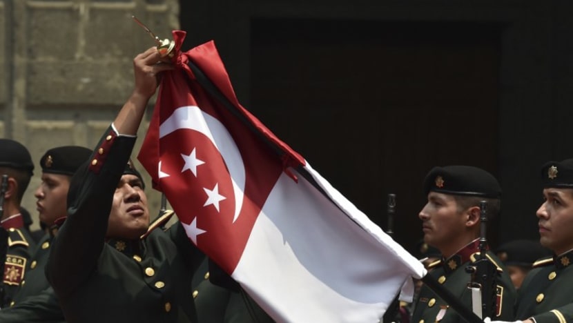 Teen arrested for allegedly vandalising S’pore flags