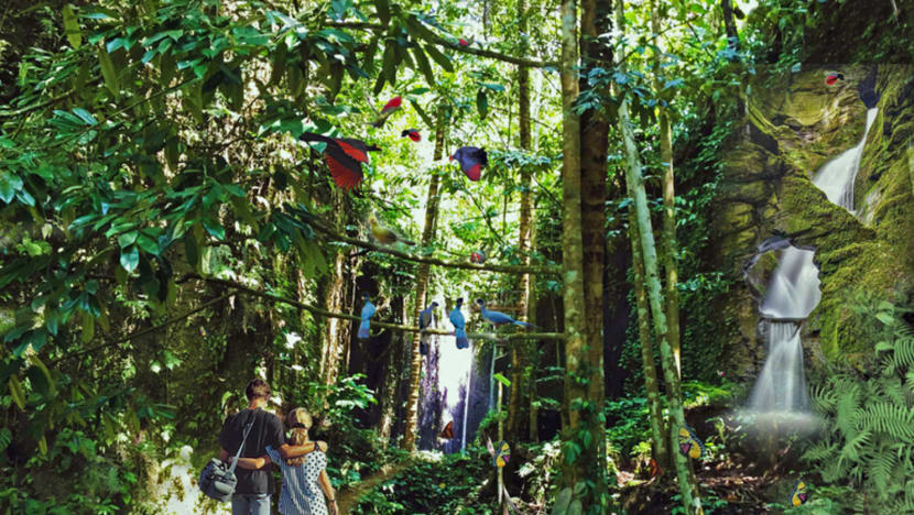 Impact on existing wildlife, plants among concerns over Mandai project